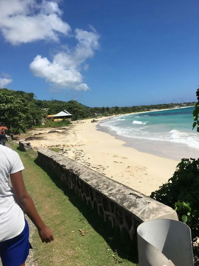 Becaville Port Antonio Bed & Breakfast