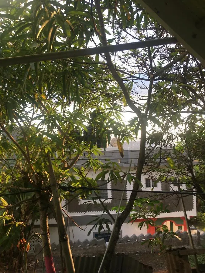 Becaville Port Antonio Nocleg ze śniadaniem