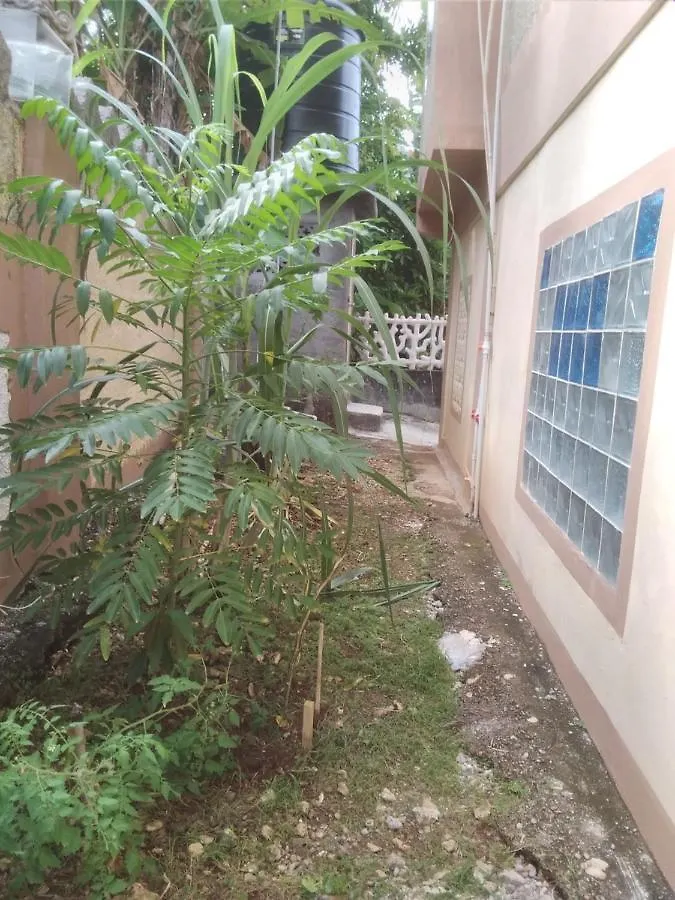 Bed and breakfast Becaville Port Antonio
