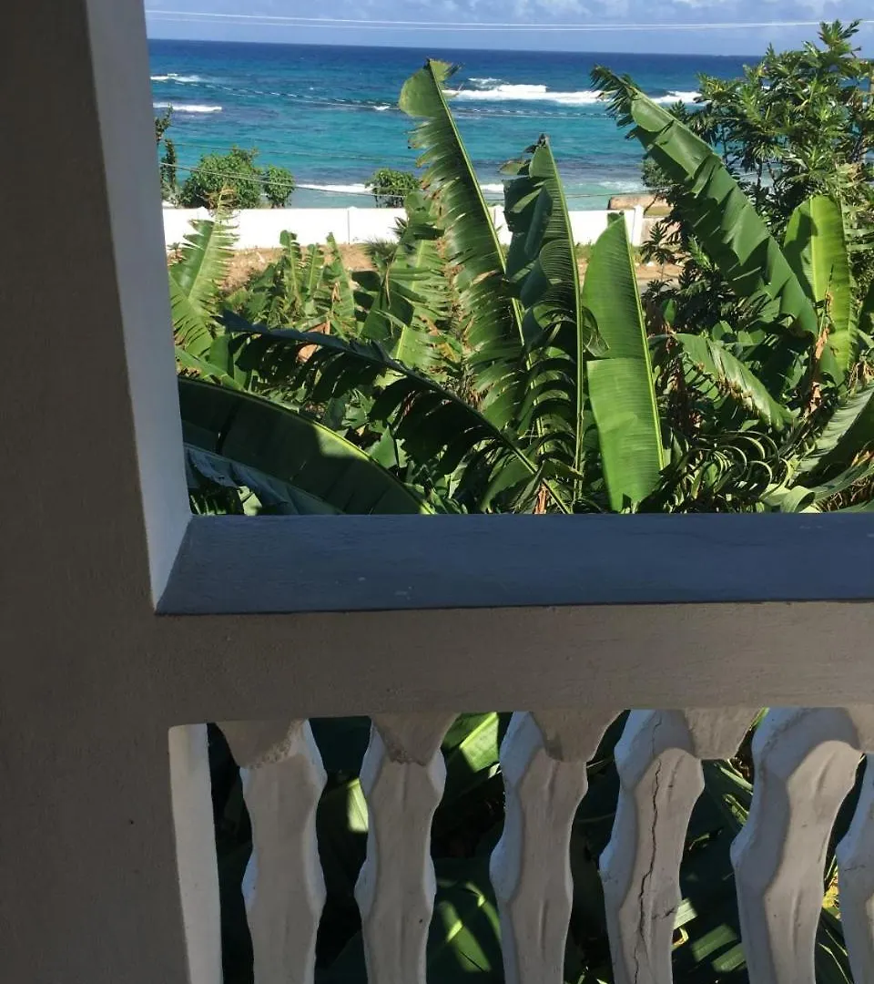 Becaville Port Antonio Bed and breakfast